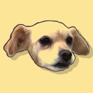 Meet your Posher, Cassie